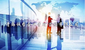 玉树正规企业管理咨询服务新报价 诚哲供应专业推荐