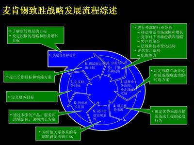 麦肯锡战略咨询经验在管理与咨询中的应用